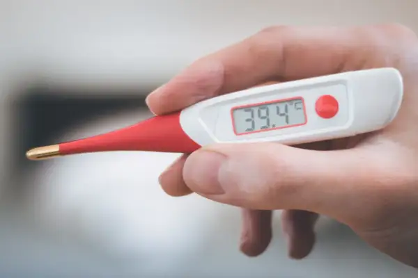 Cyfrowy termometr pokazuje 39.4°C. Dowiedz się, jak sprawdzić czy pies ma gorączkę.